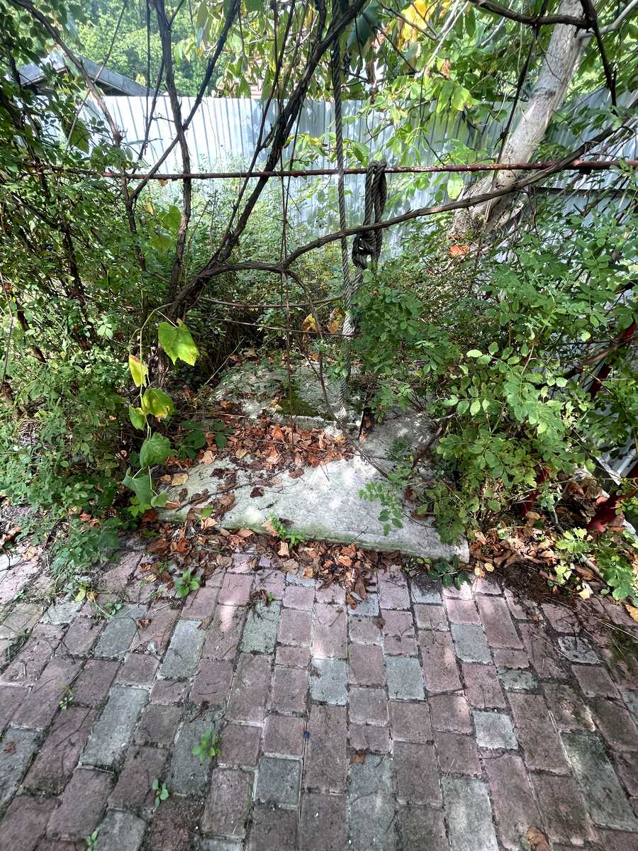 1876288218461419