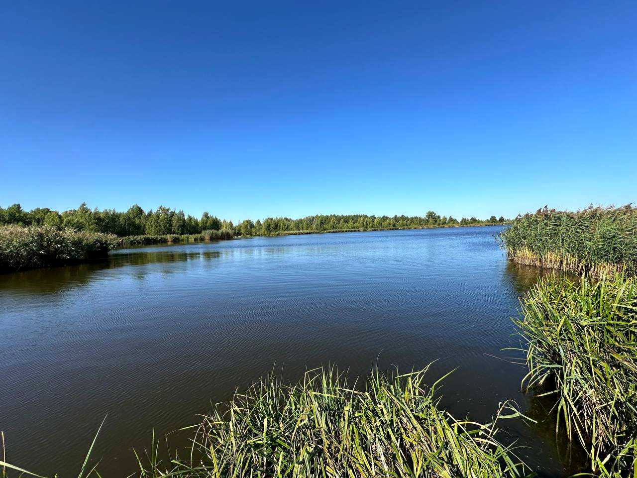1876299621902648