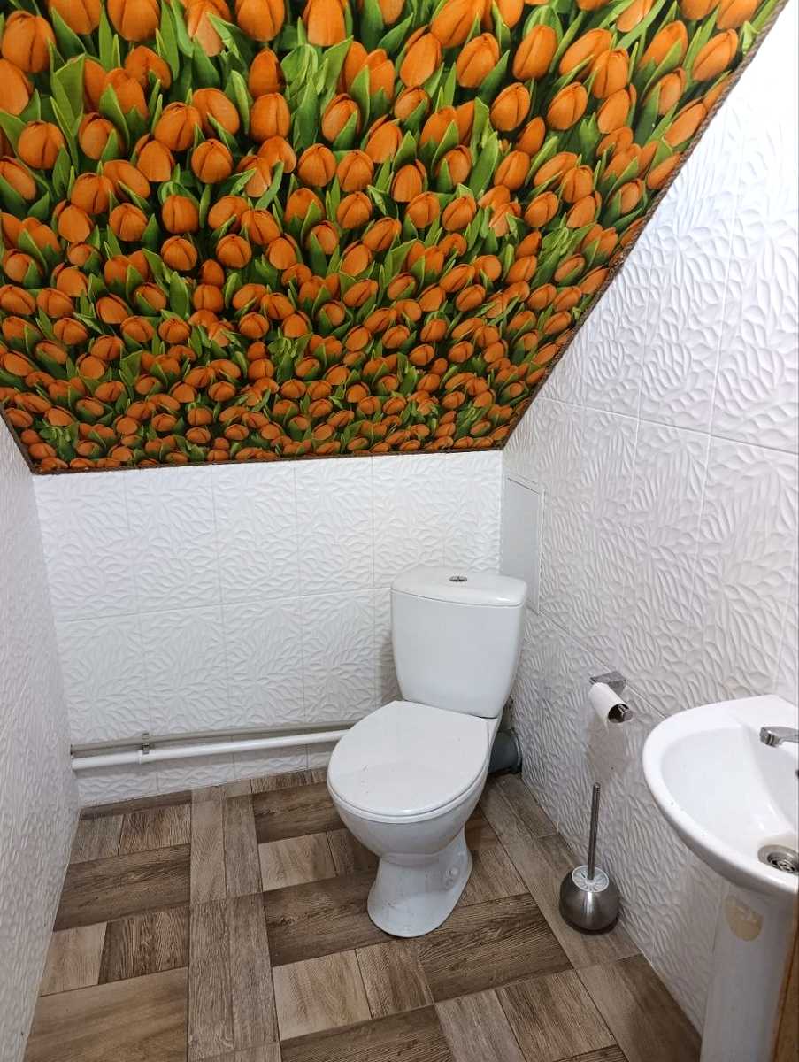 1876309676034330