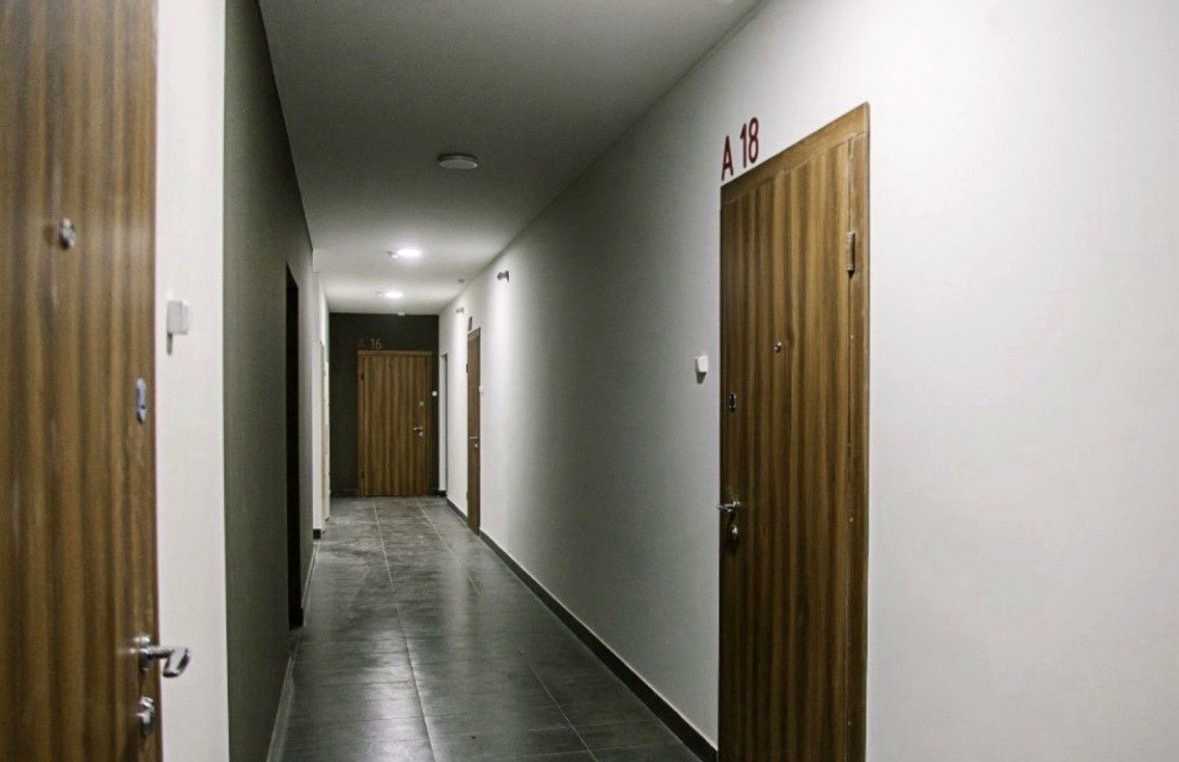 1876311396647458