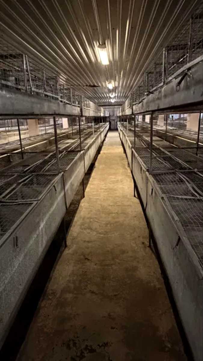 1876315532288590