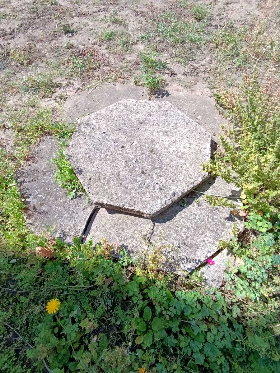 1876323494589629