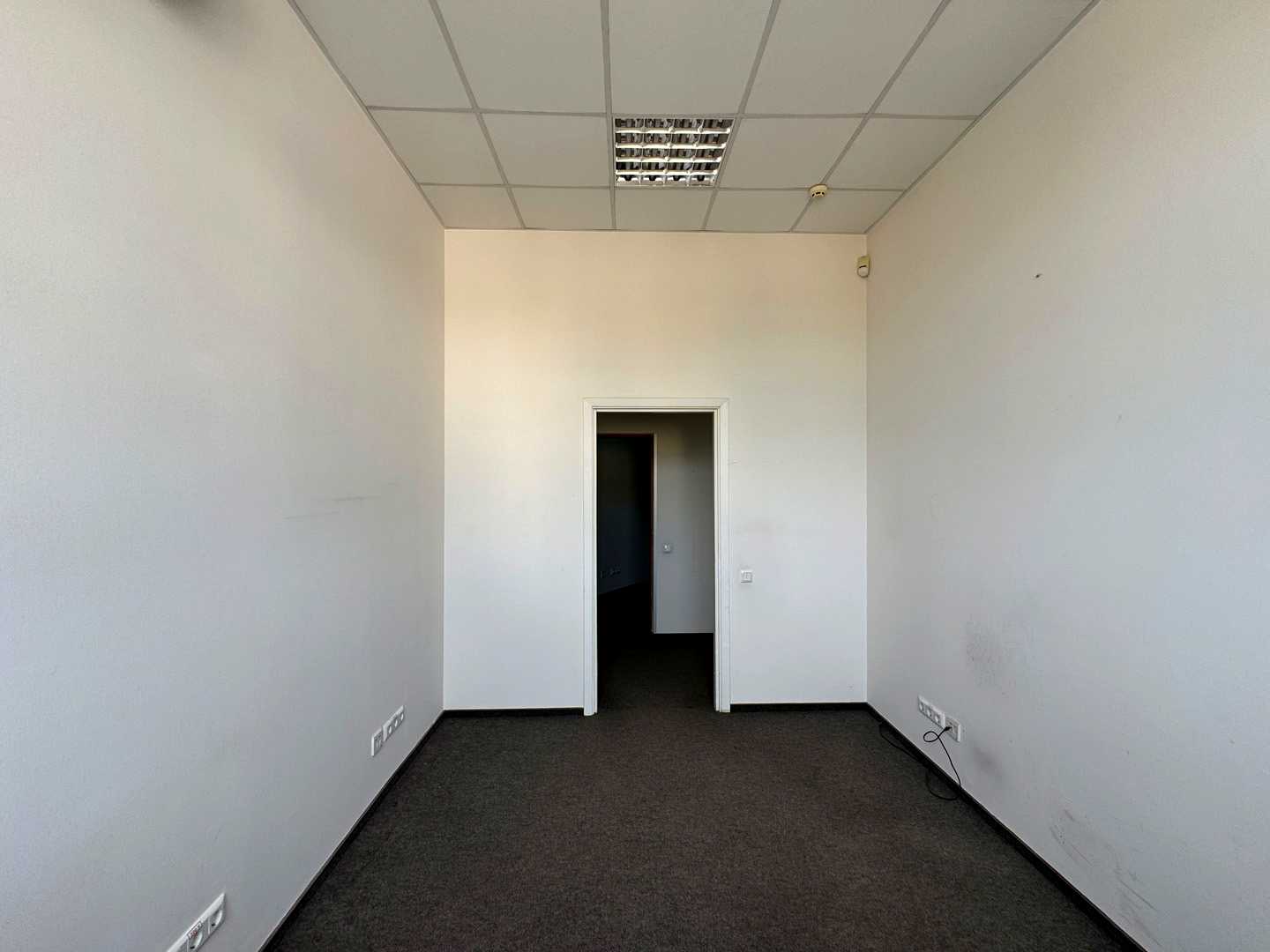 1876324815879308