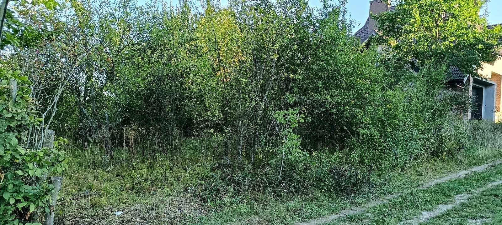 1876329739631347