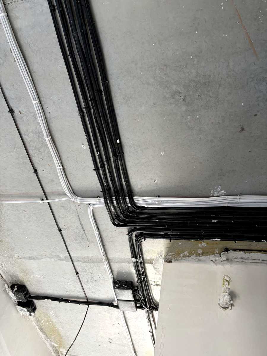 1876340370380933