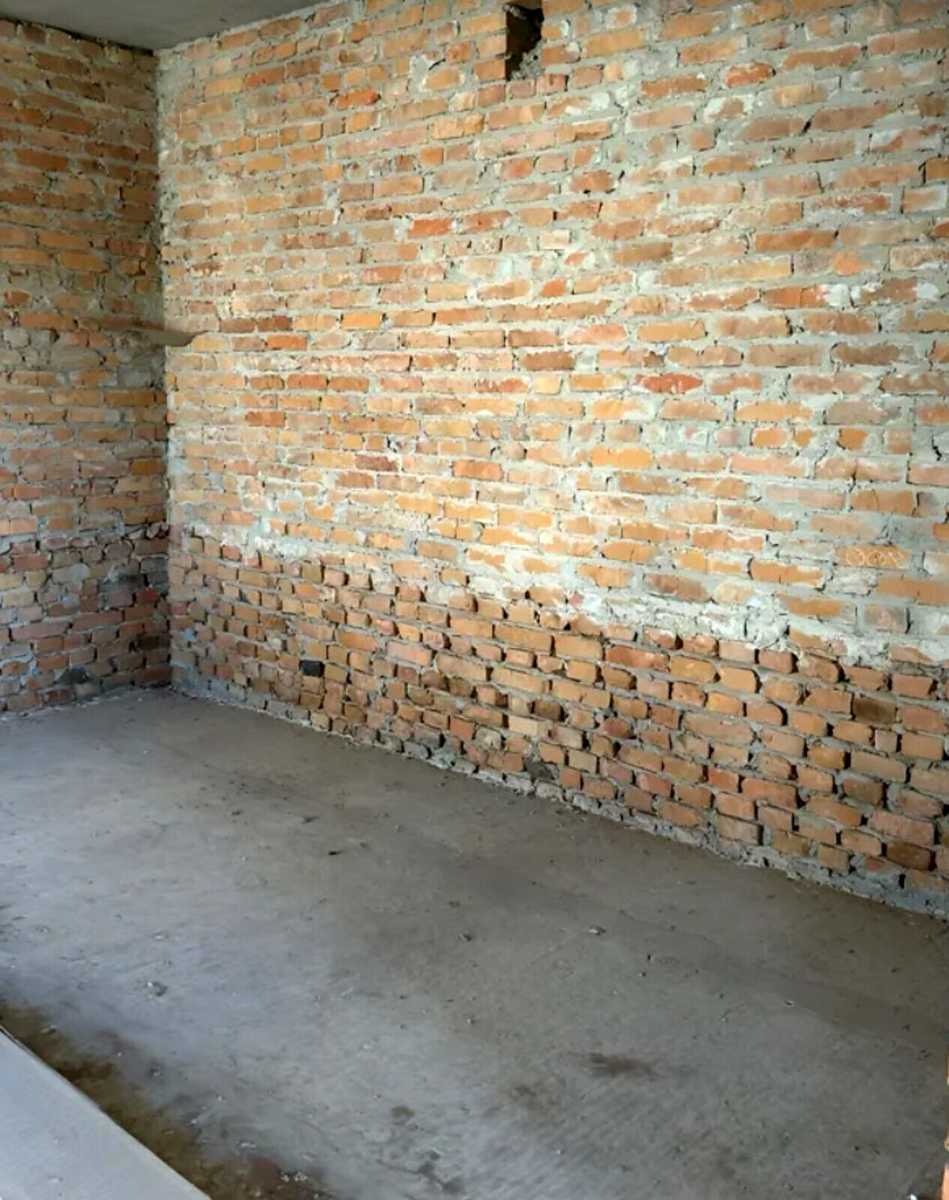 1876360429581680.jpg