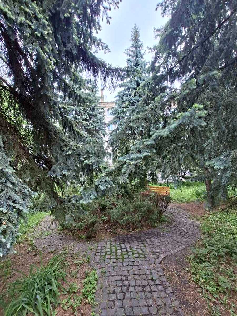 1876375672289641