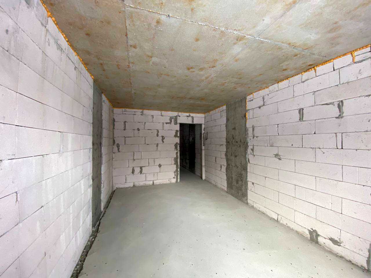 1876383323801889