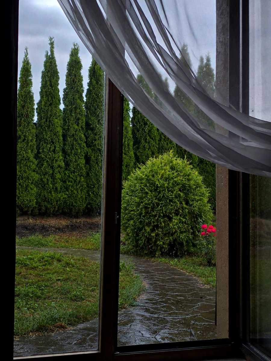 1876388380463056
