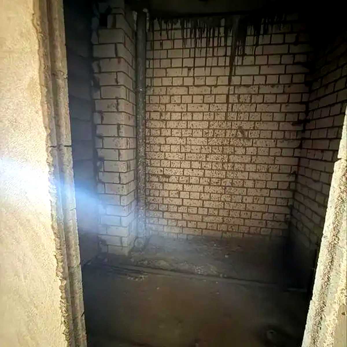 1876388962450664