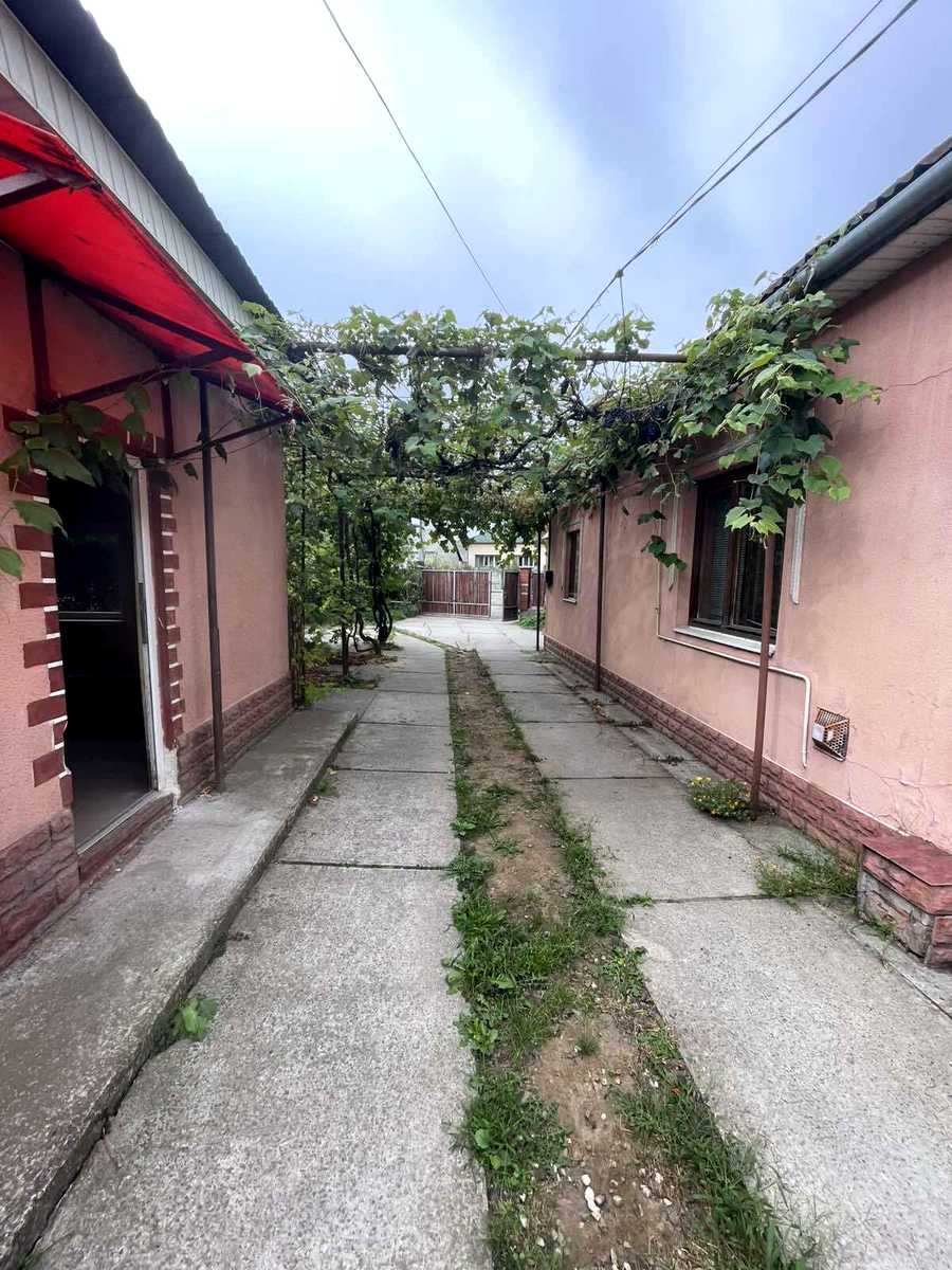 1876392172937010
