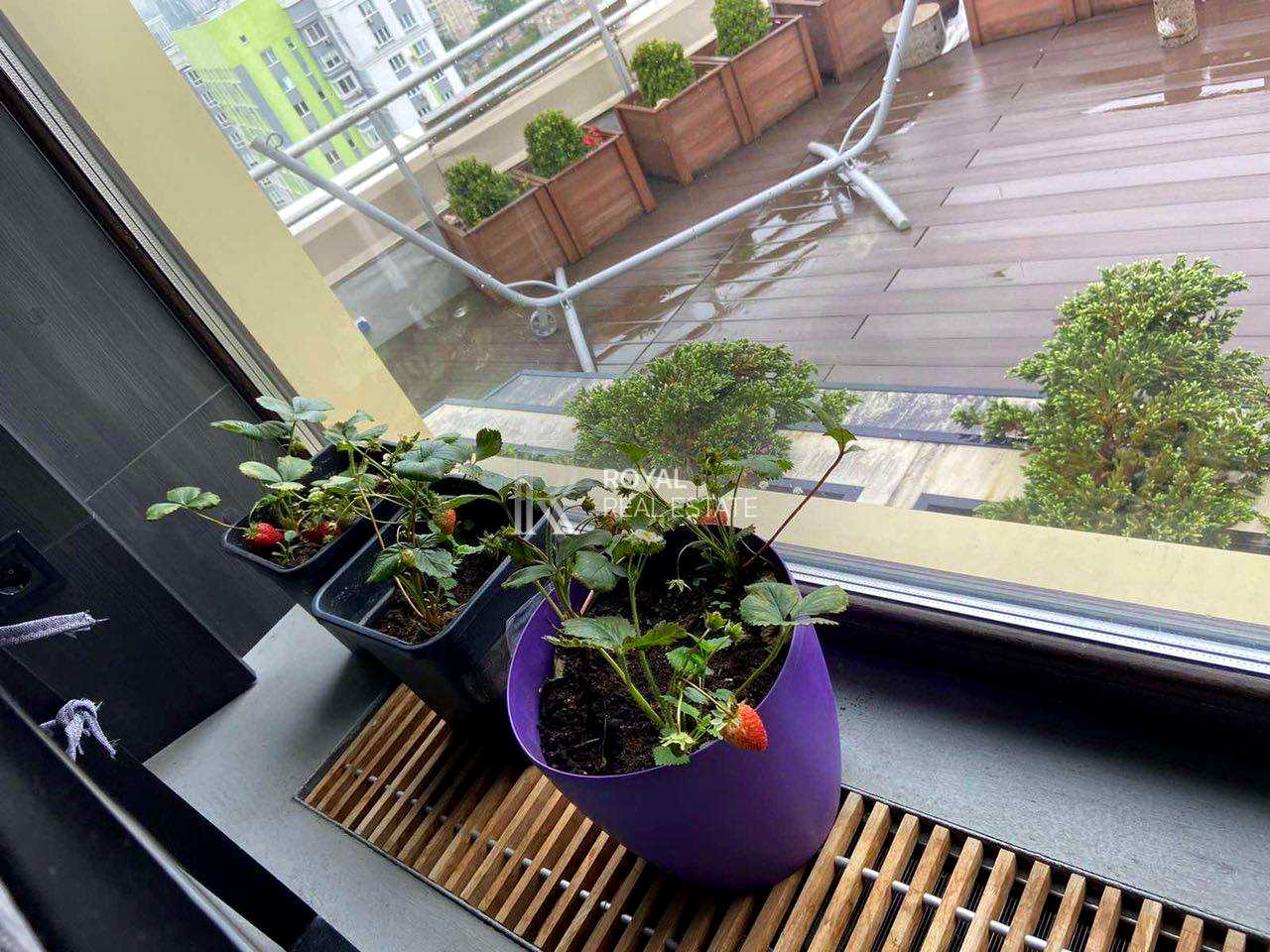 1876395835653221