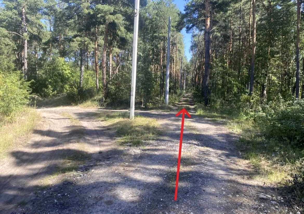 1876401202970435