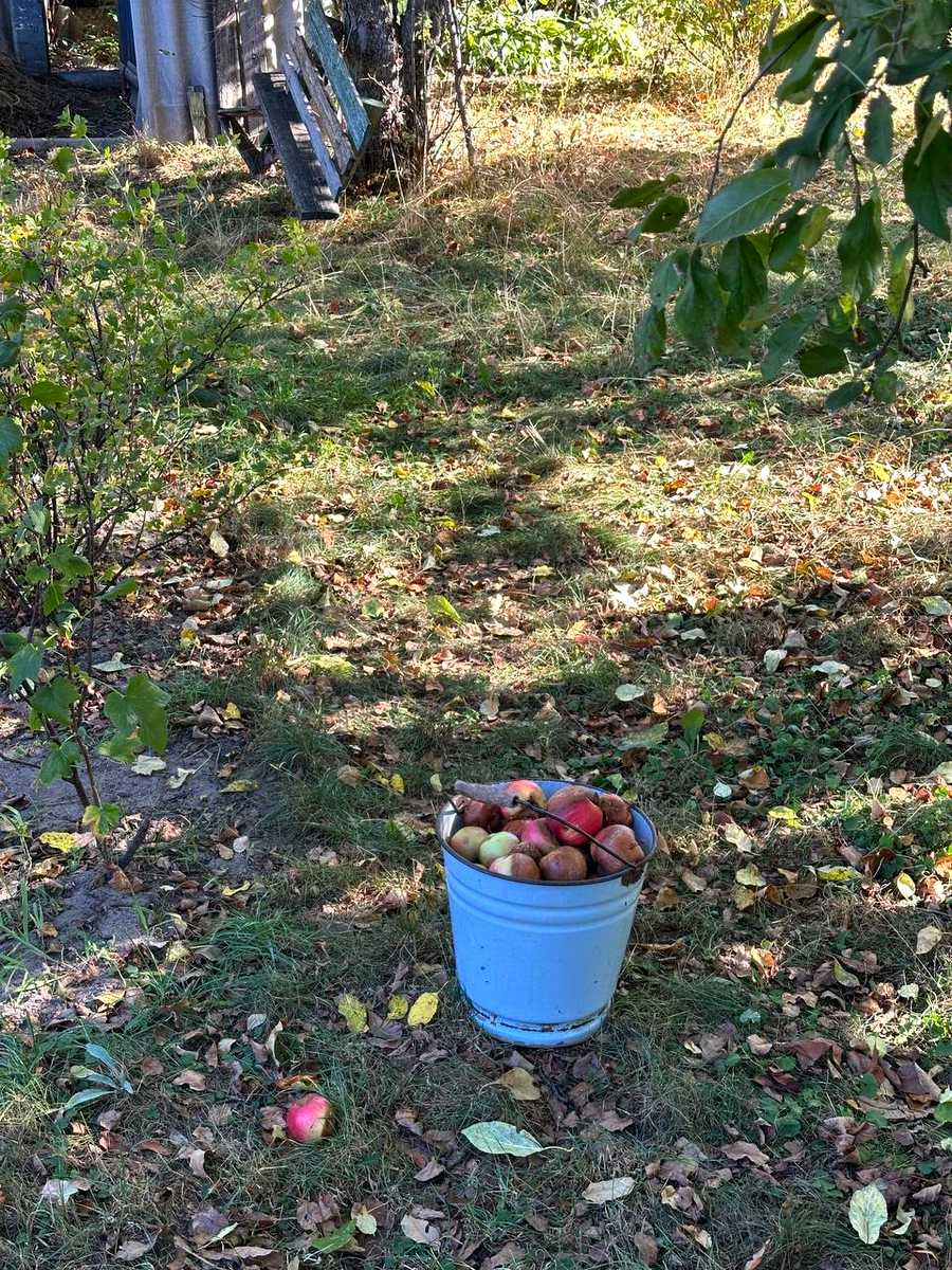 1876408205455611