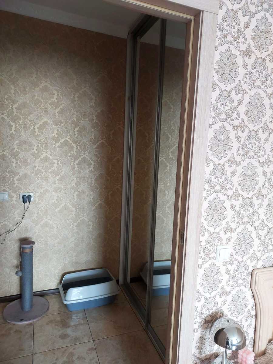 1876411570398233