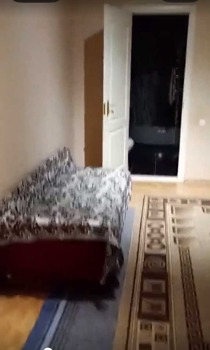 1876417758388099