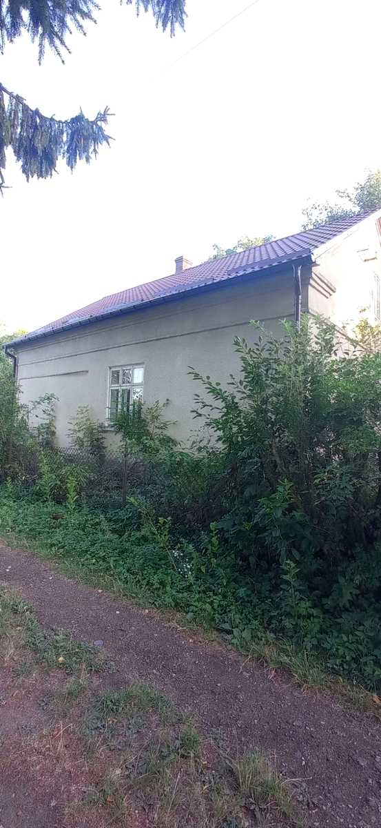 1876481495014196
