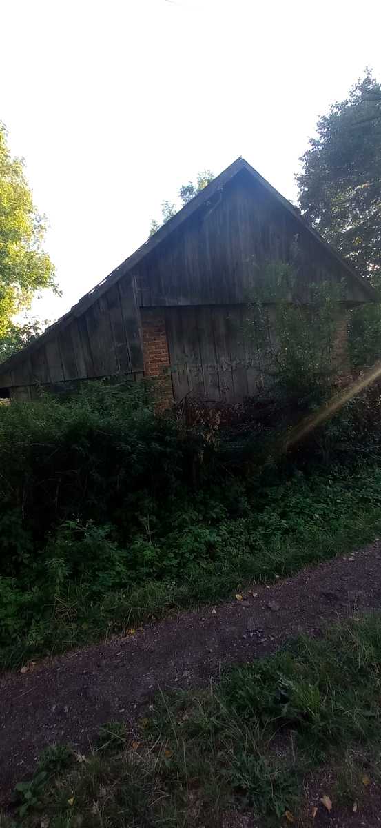1876481495357662