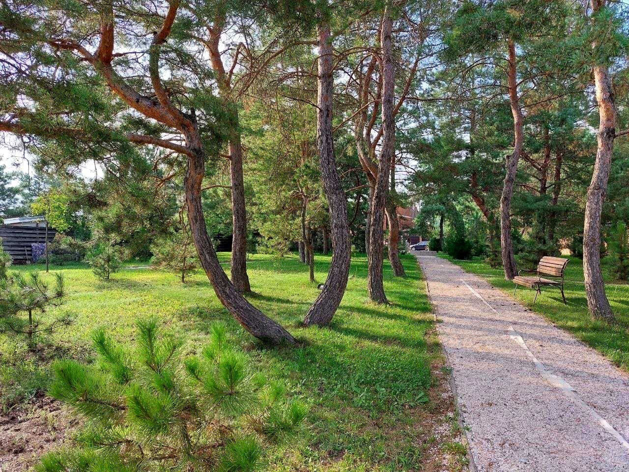 1876483025805235