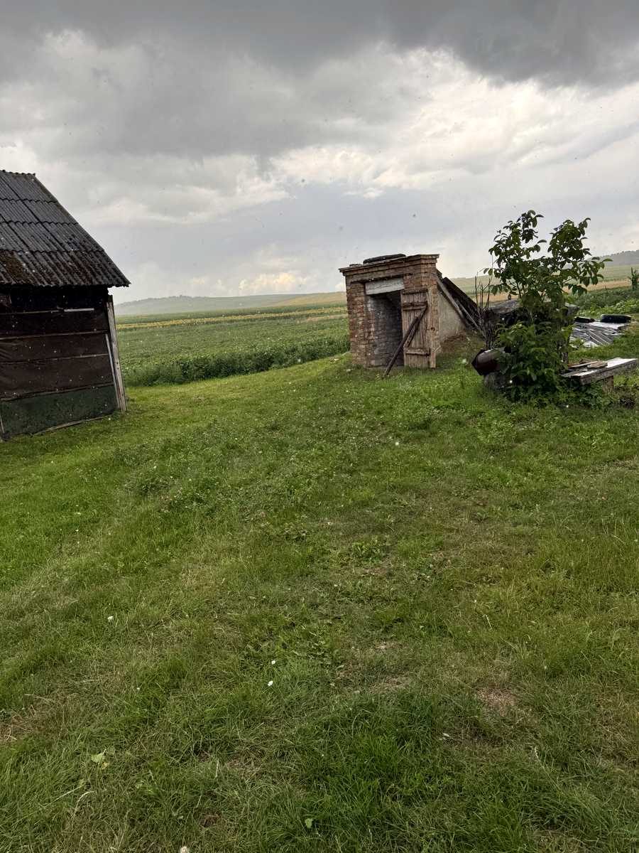 1876494831732074