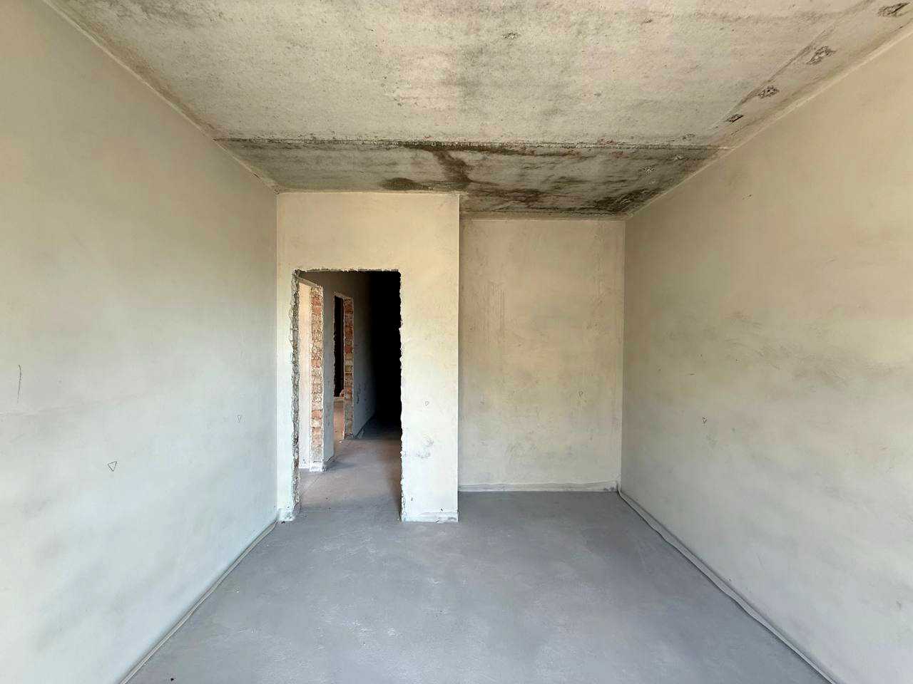 1876496943566541