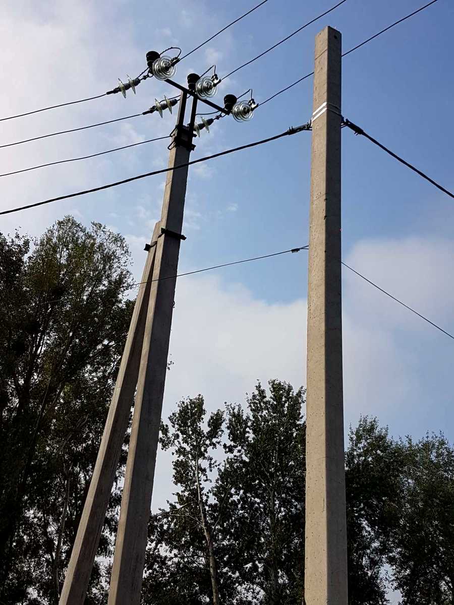 1876504122555241