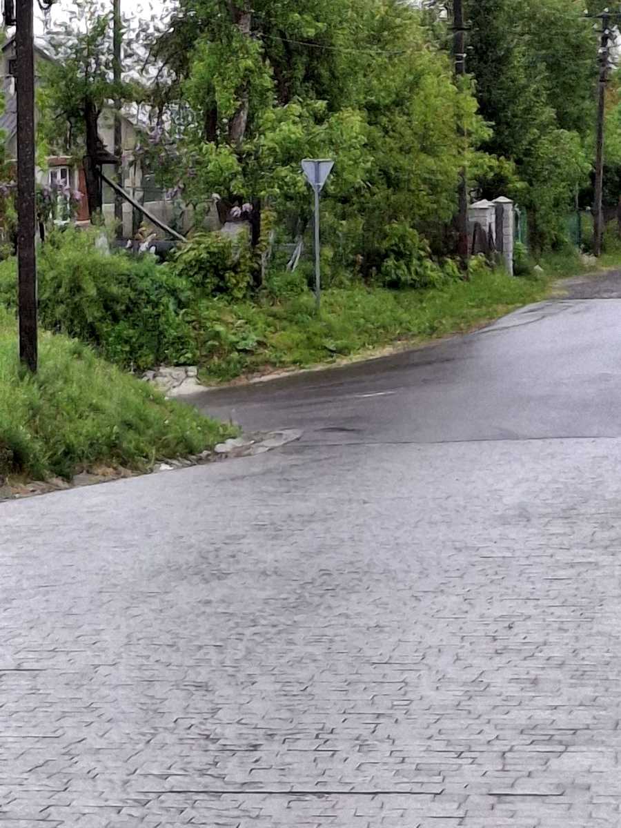 1876572976784257
