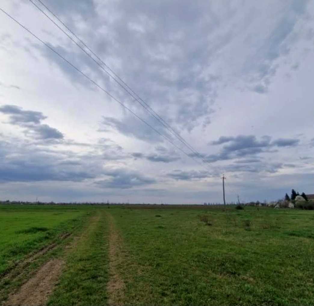 1876588751949010
