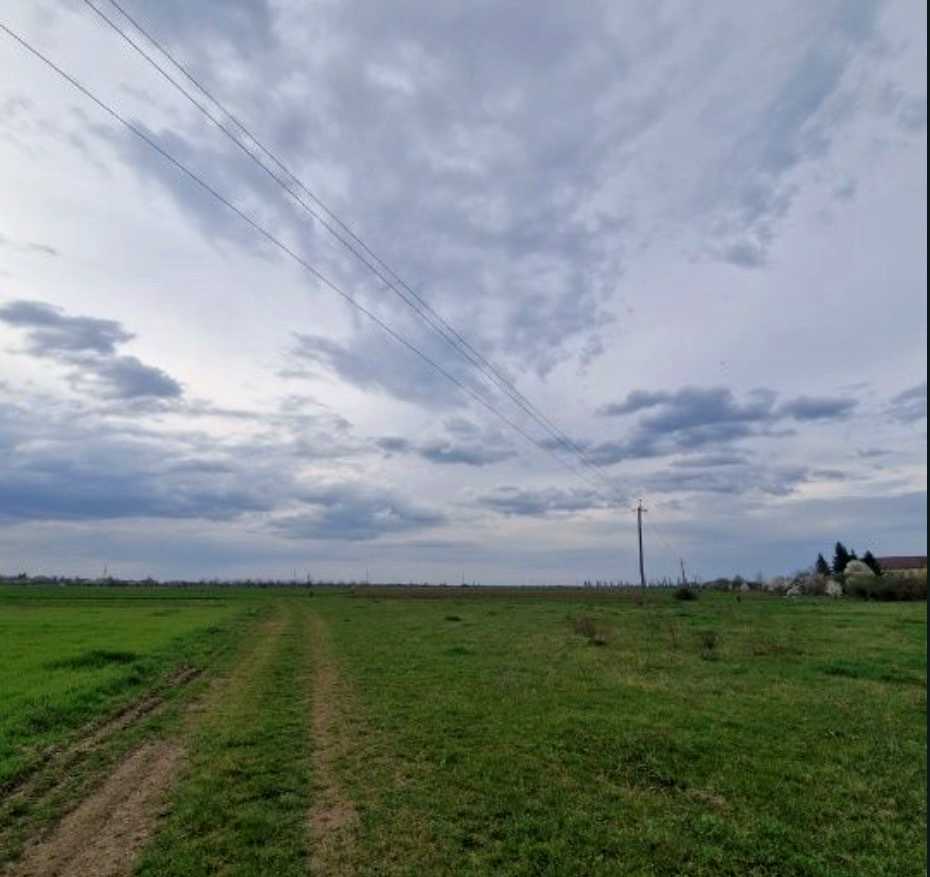 1876589198724828