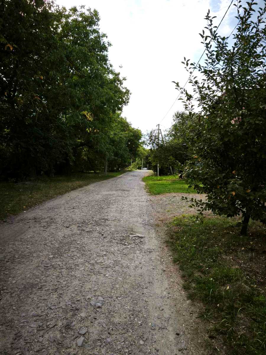 1876670858415151