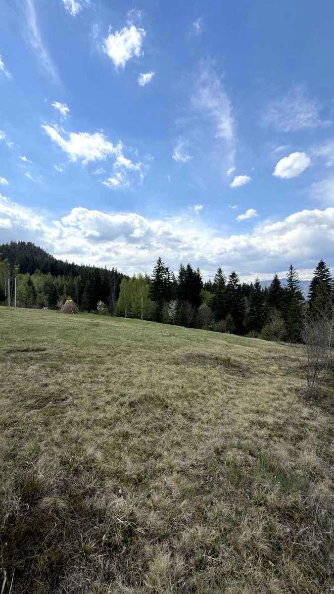 1876674823723151