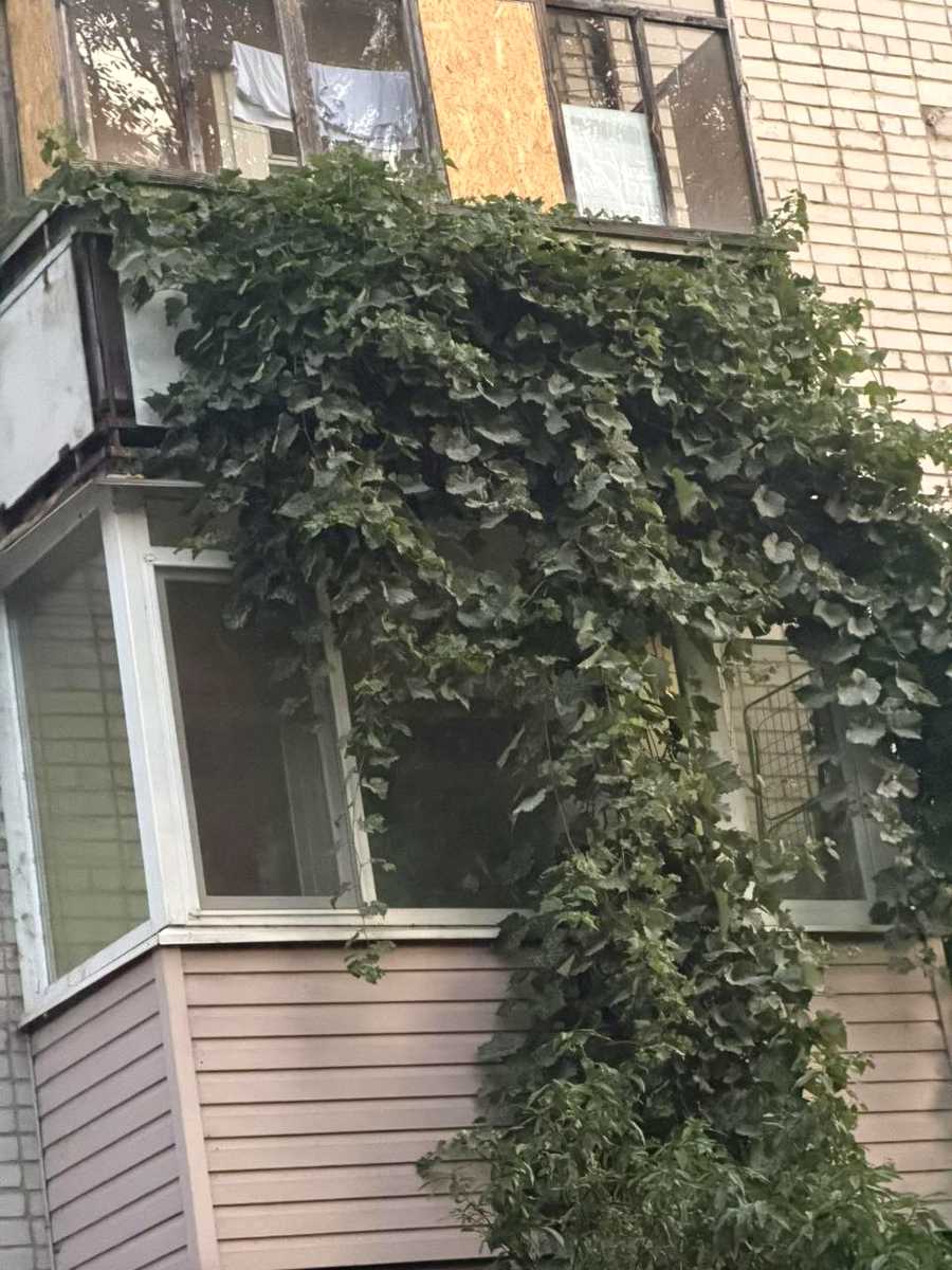 1876675836626031