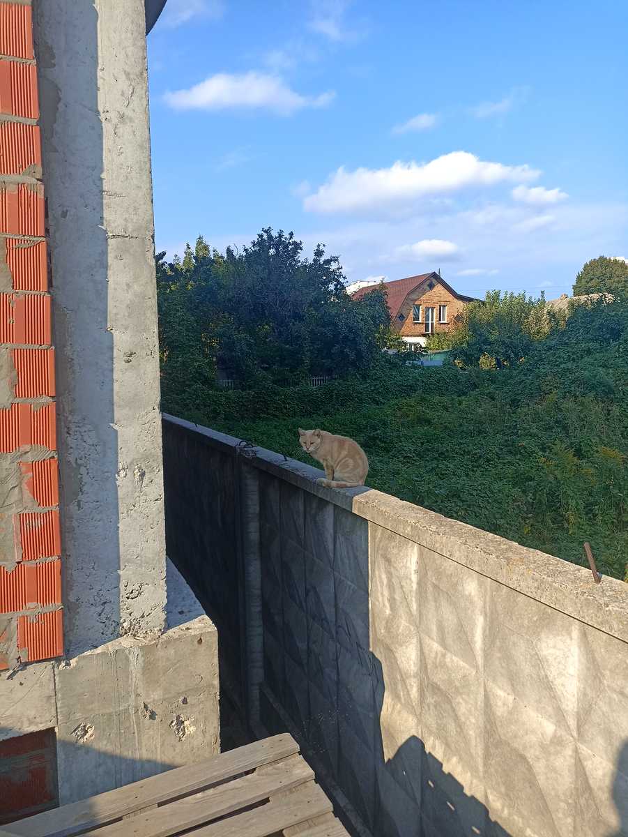 1876703410988582