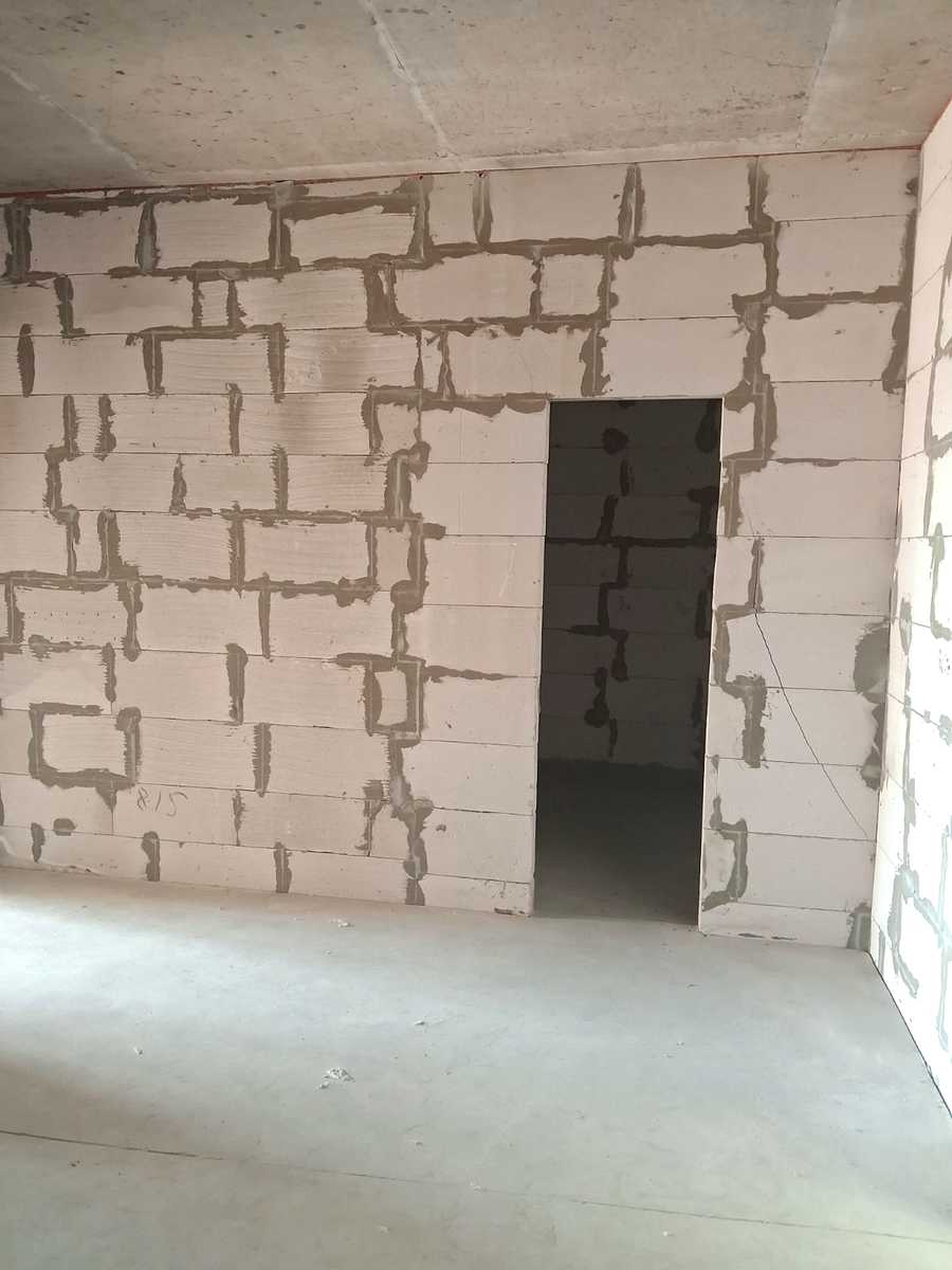 1876747390422497