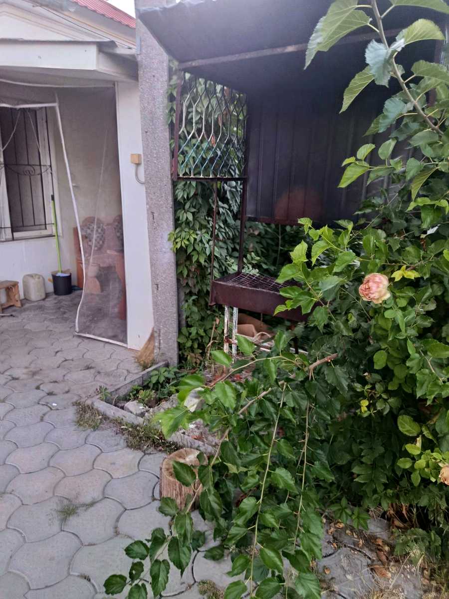 1876759789824256