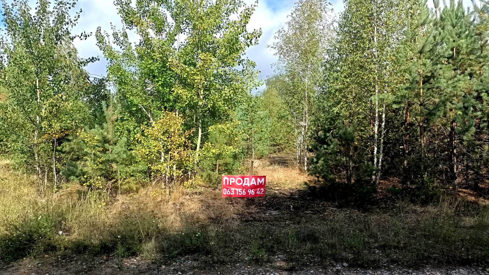 1876773963626111