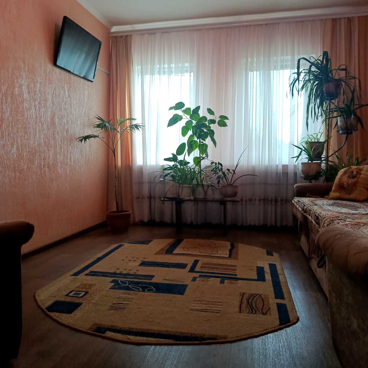 1876836356567181