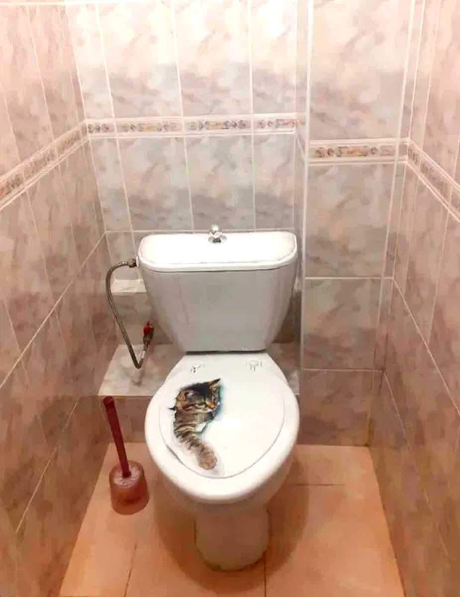 1876864823842538