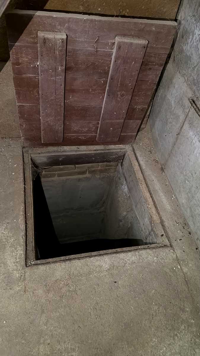1876922291832831