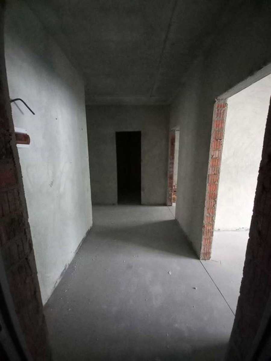 1876929264597534