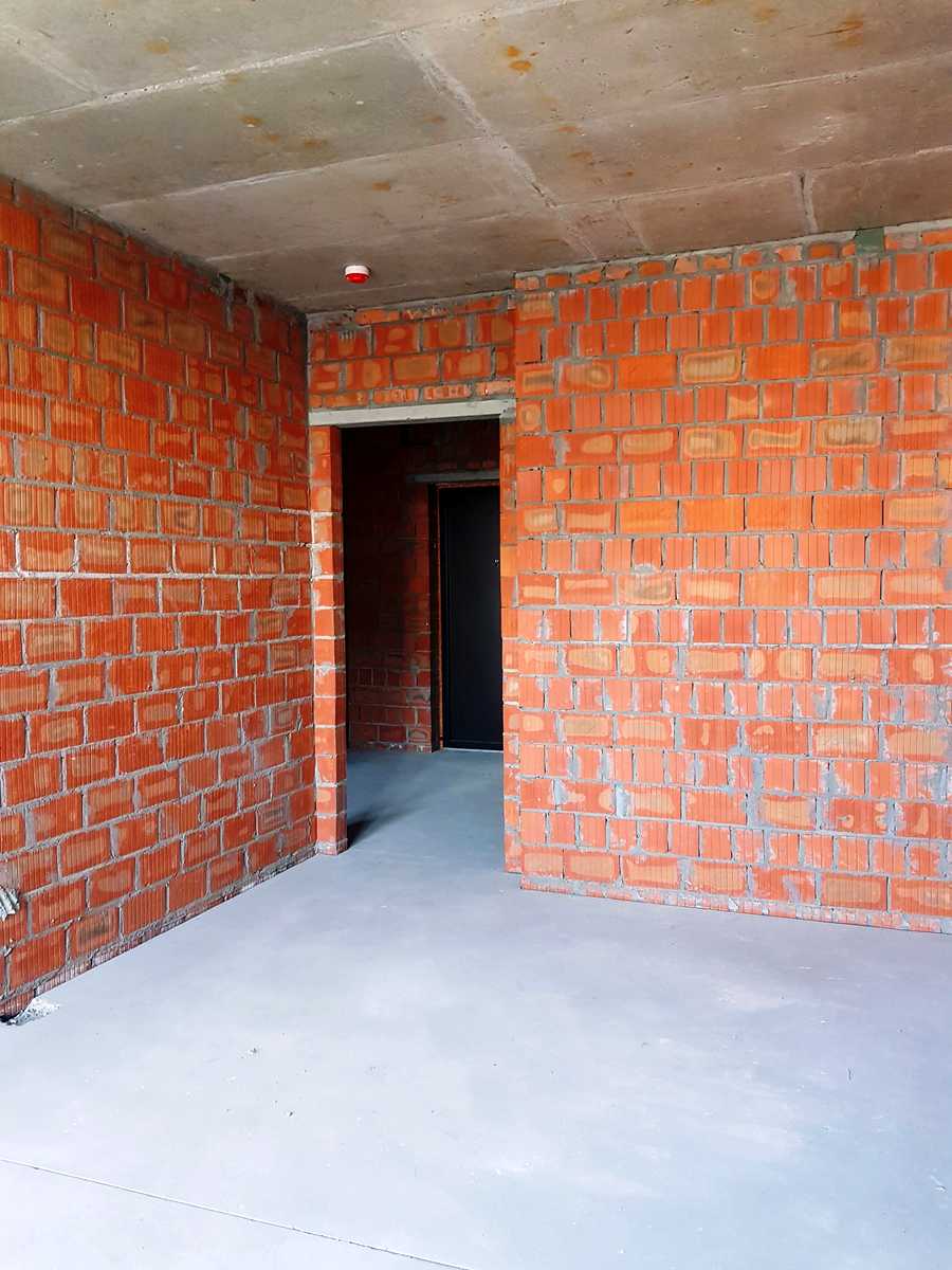 1876934857558491