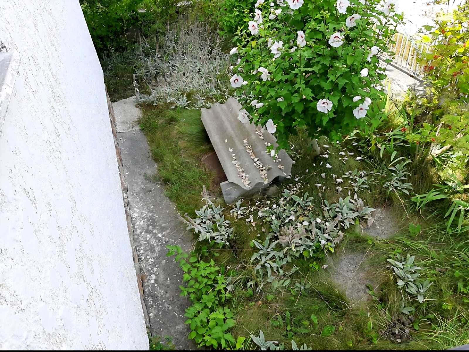 1876944238171072