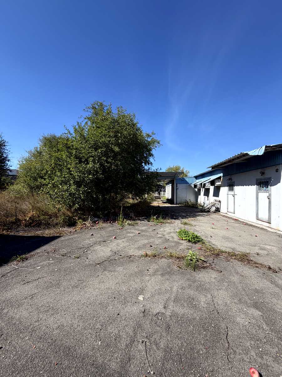 1876946896417669