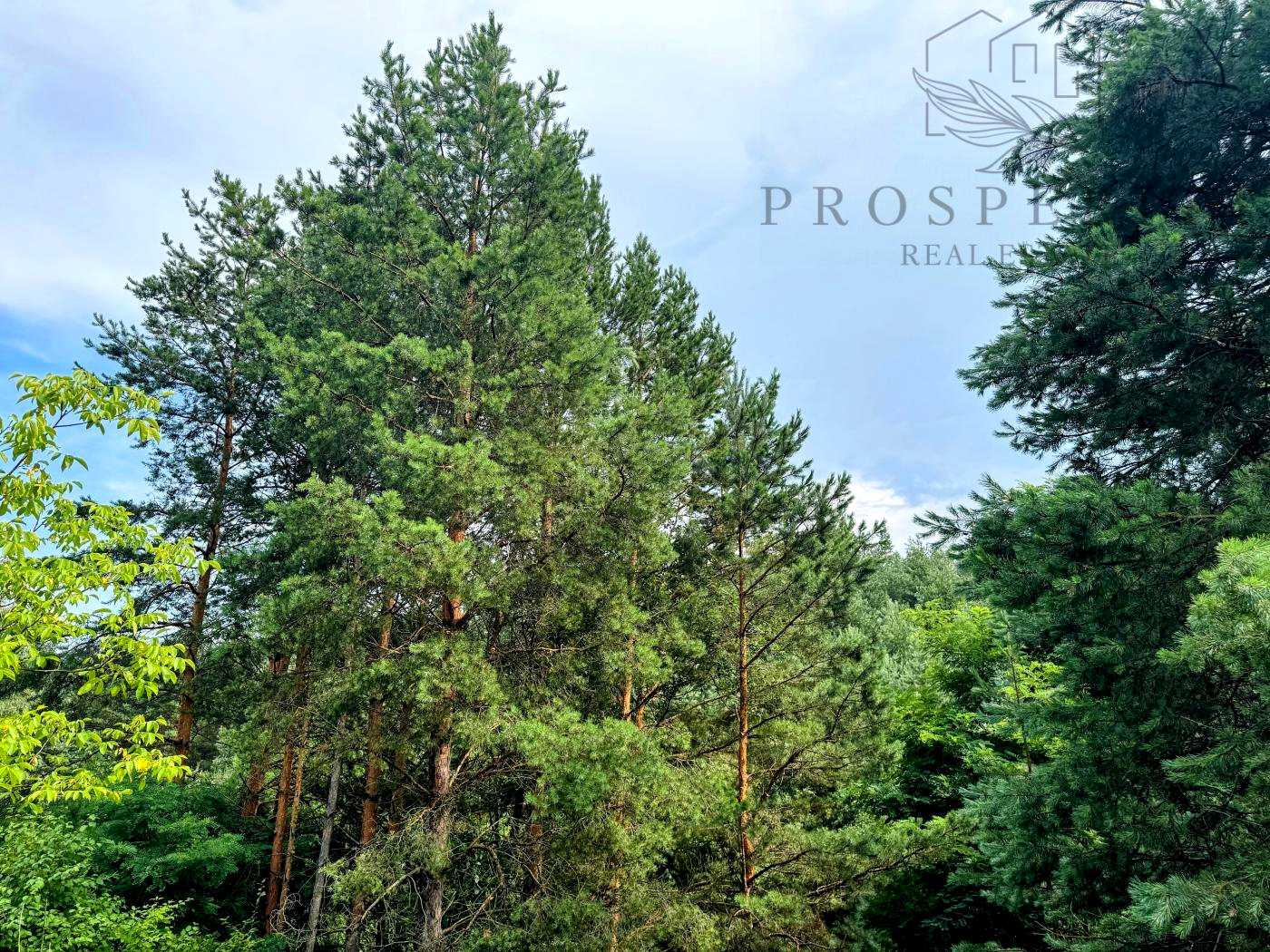 1876955364721293