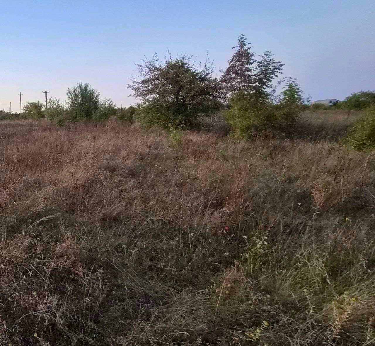 1876969482241129