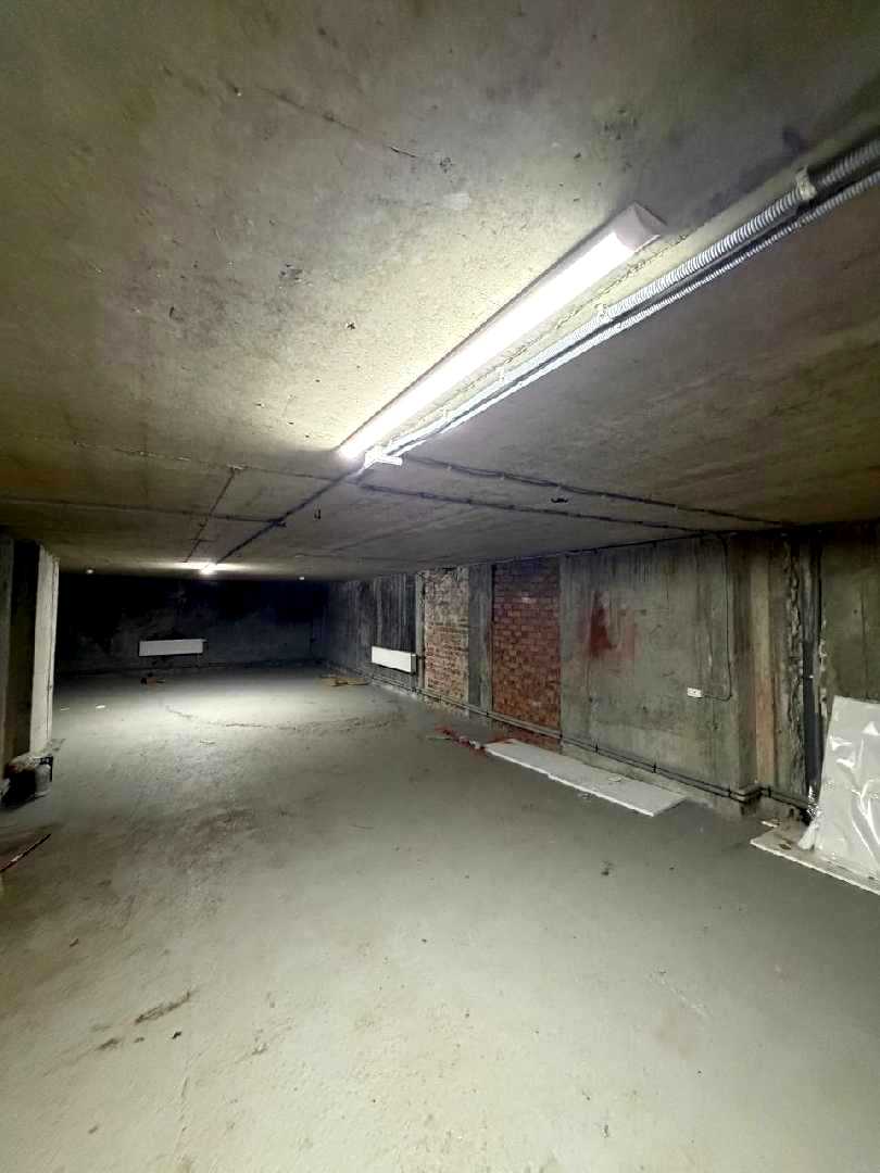 1876969706273523