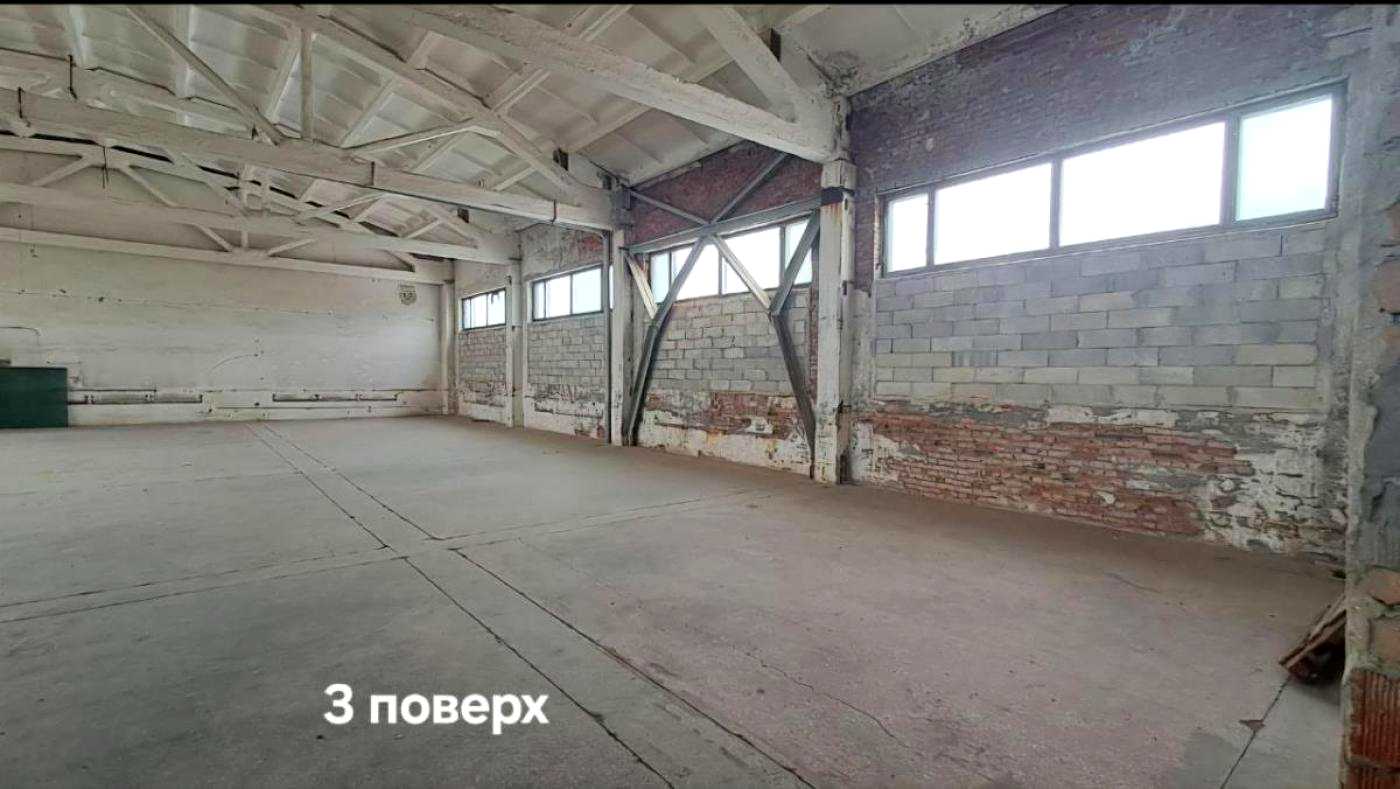 1876977440242006