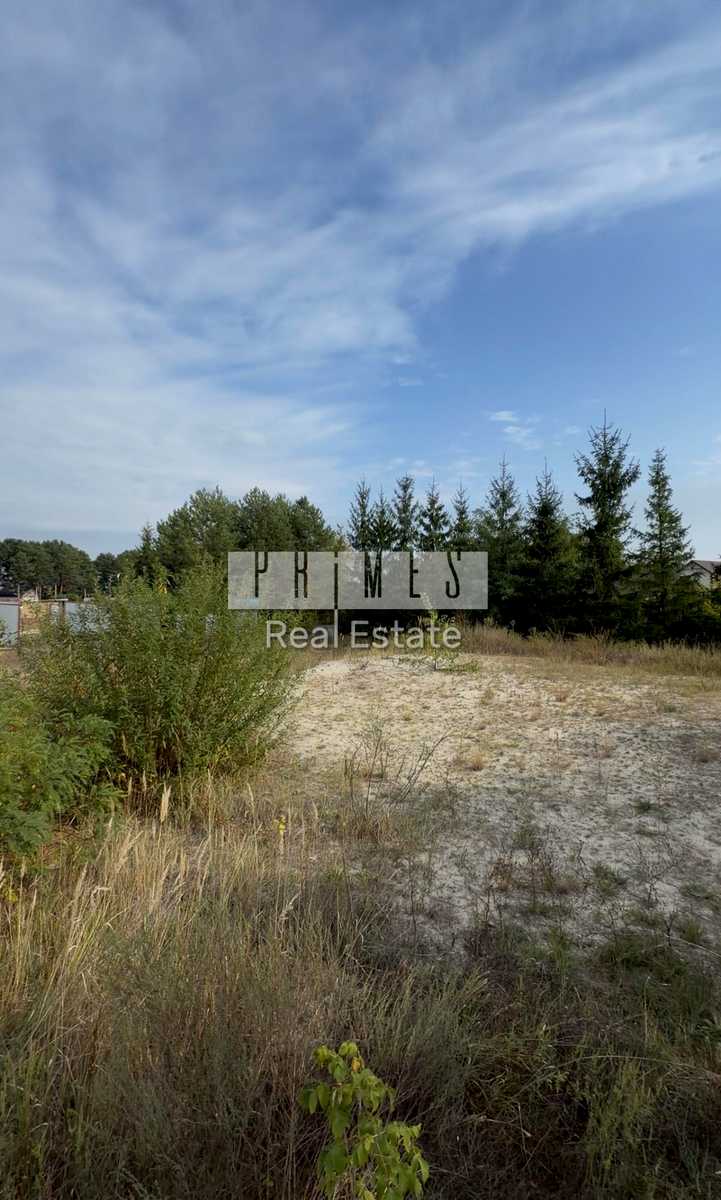 1877017846408770