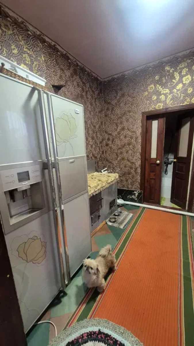 1877031874187750