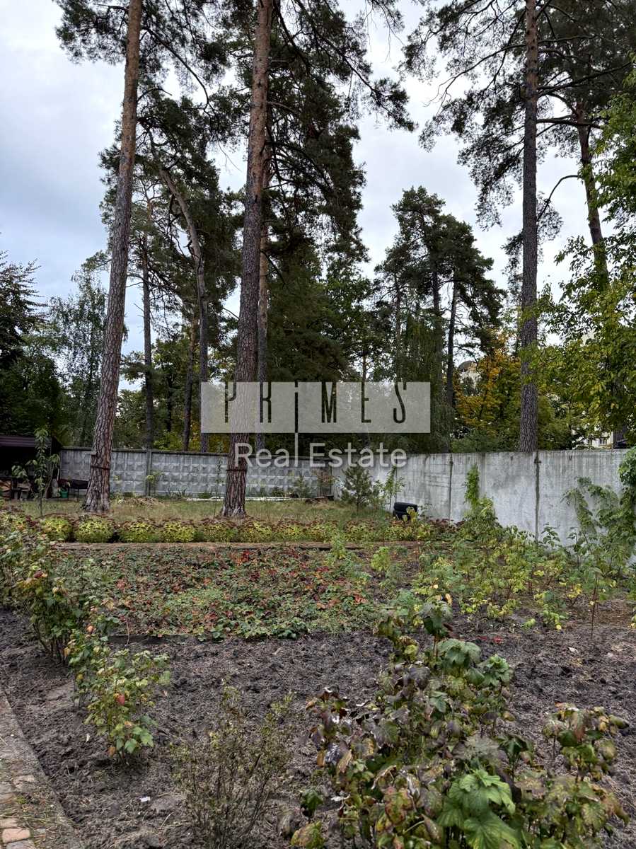 1877039650907274
